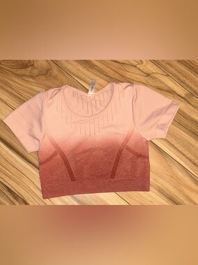 Seamless Ombre Pink Crop Top - Women